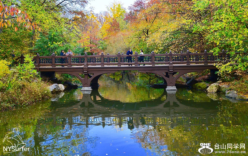 DSC_0126.jpg