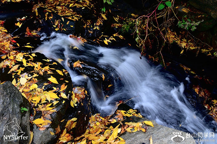 DSC_91927.jpg
