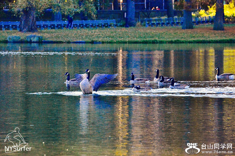 DSC_01723.jpg