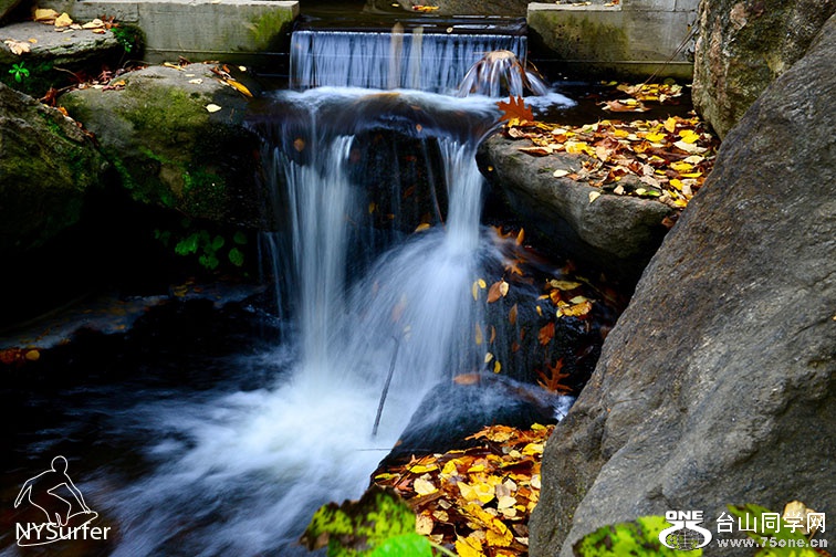 DSC_91889.jpg