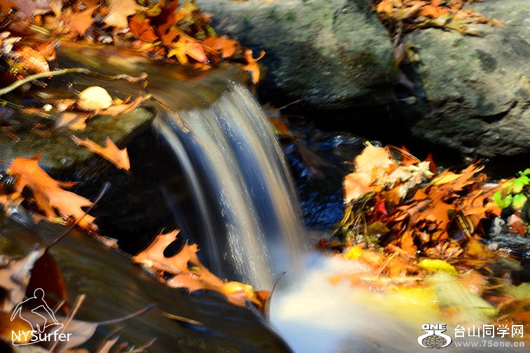 DSC_01877.jpg