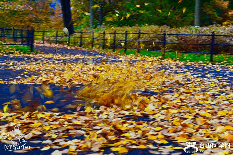 DSC_91225.jpg