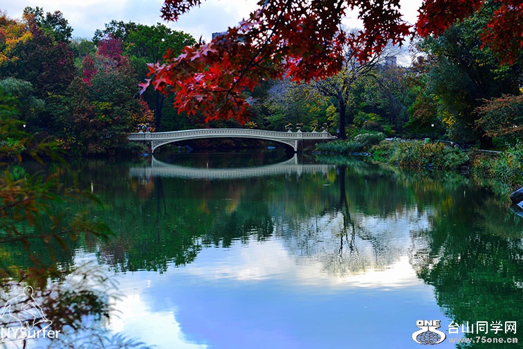 DSC_71878.jpg