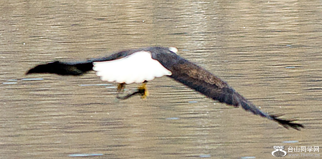 DSC_0048.jpg