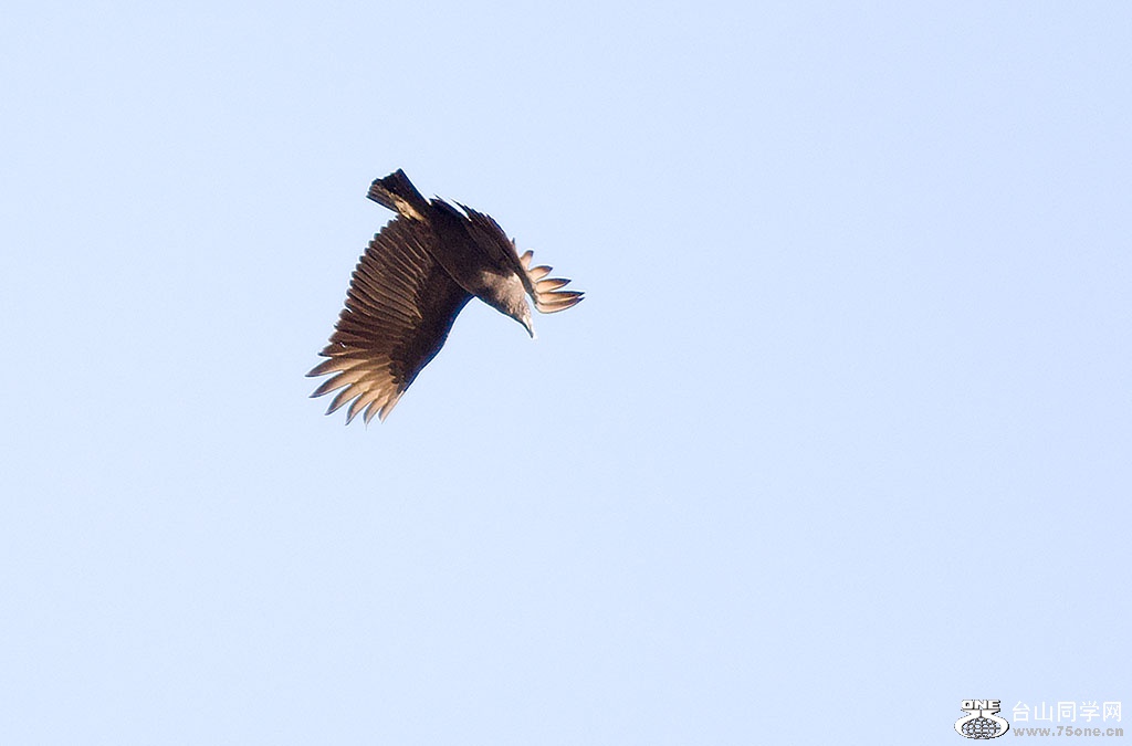 DSC_0018.jpg