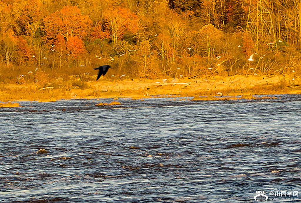 DSC_9631.jpg