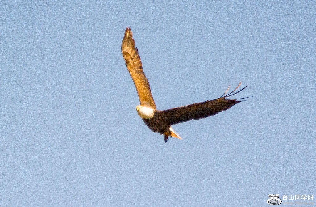 DSC_9795.jpg