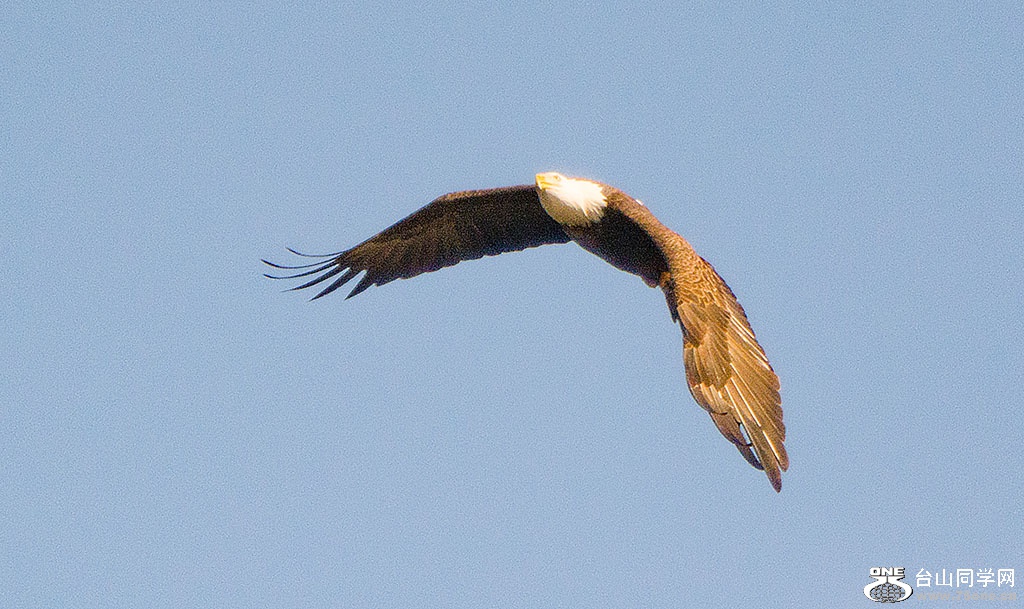 DSC_9794.jpg