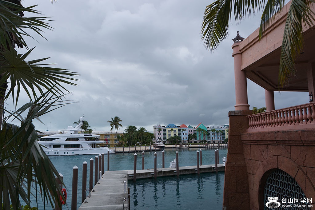 DSC_0948.jpg