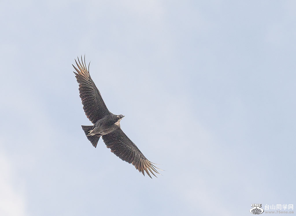 DSC_0022.jpg