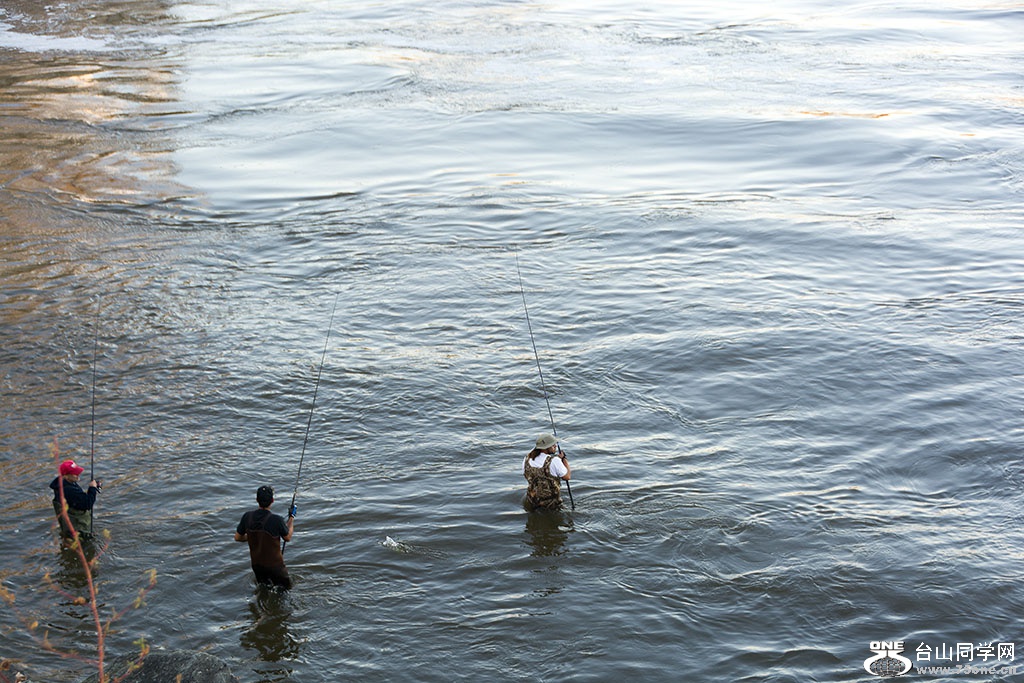 DSC_9622.jpg