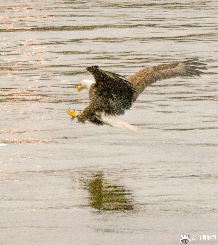 DSC_0244.jpg