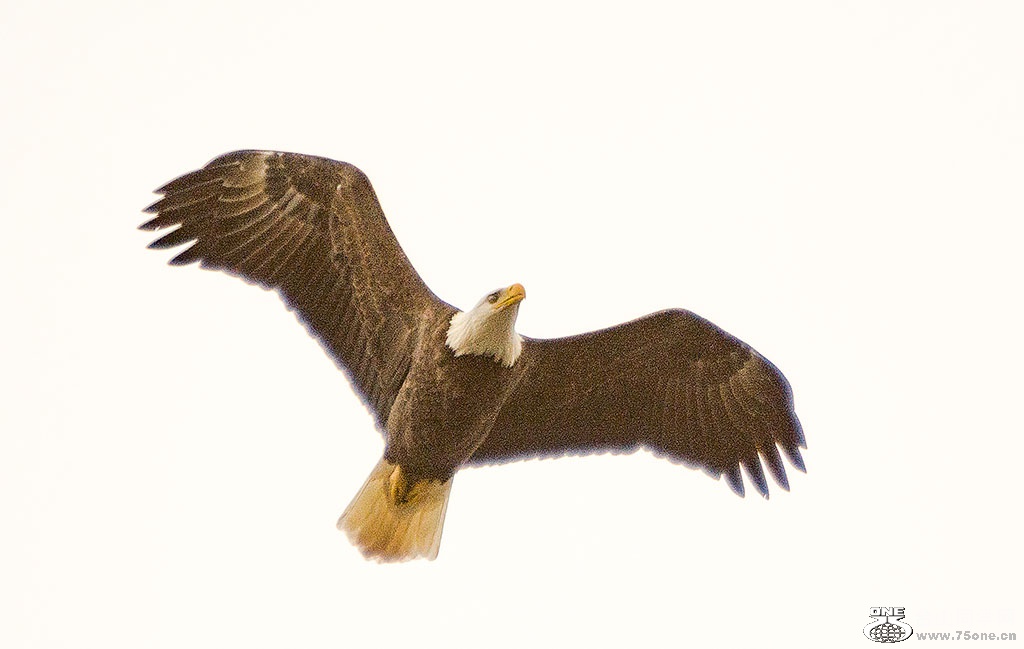 DSC_0406.jpg