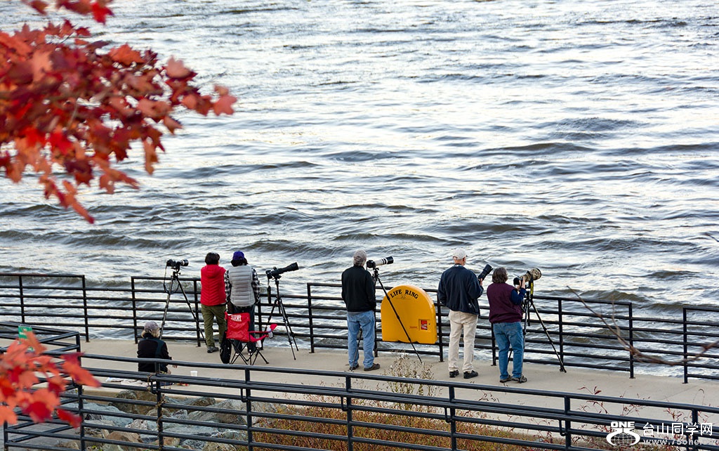 DSC_9636.jpg