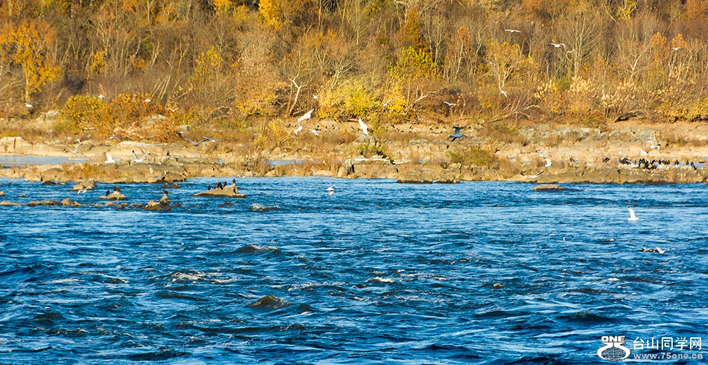DSC_9632.jpg