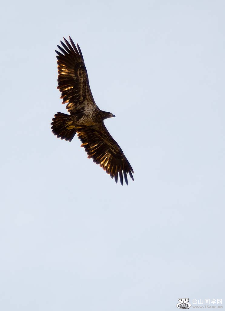 DSC_9658.jpg