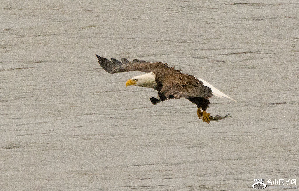 DSC_0237.jpg
