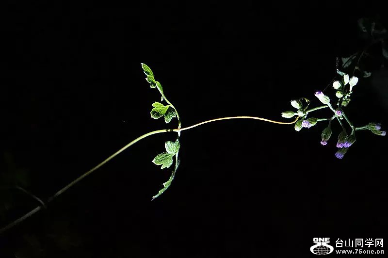 psb (10).jpg