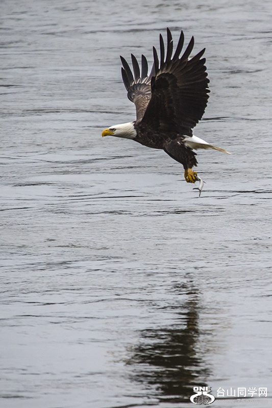 NSH_6875aa.jpg