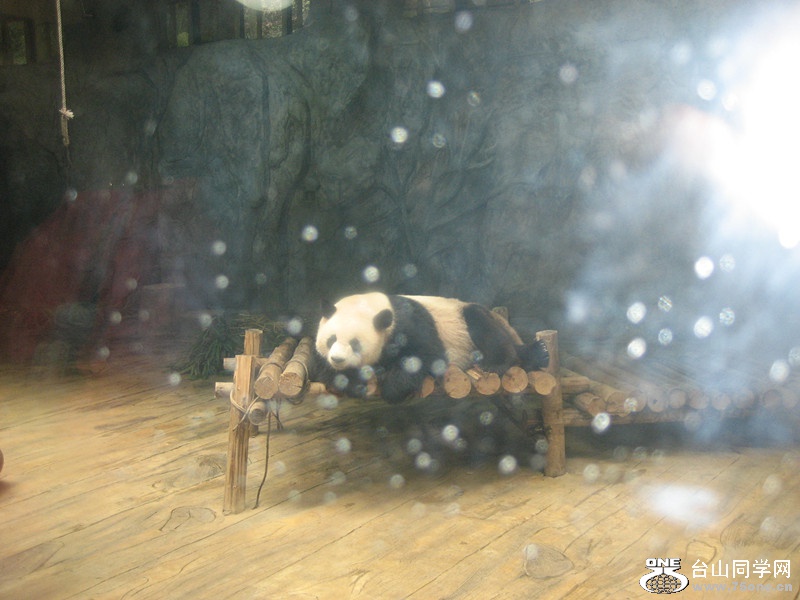 Ұ԰ 062_.jpg