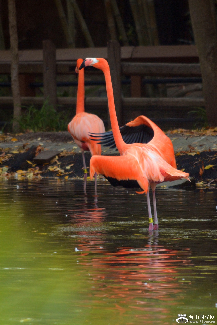 DSC_2164_25.jpg
