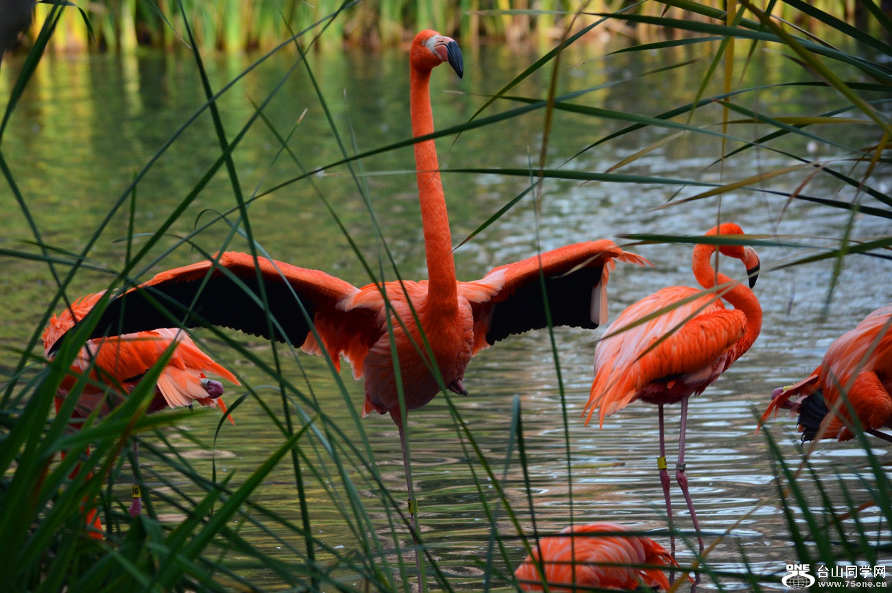 DSC_2041_46.jpg