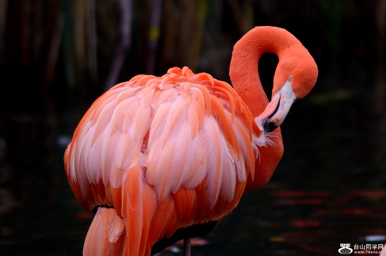 DSC_2202_23.jpg
