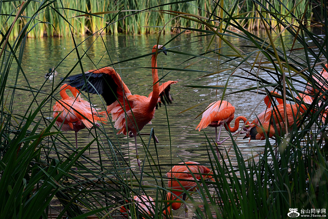 DSC_2052_45.jpg