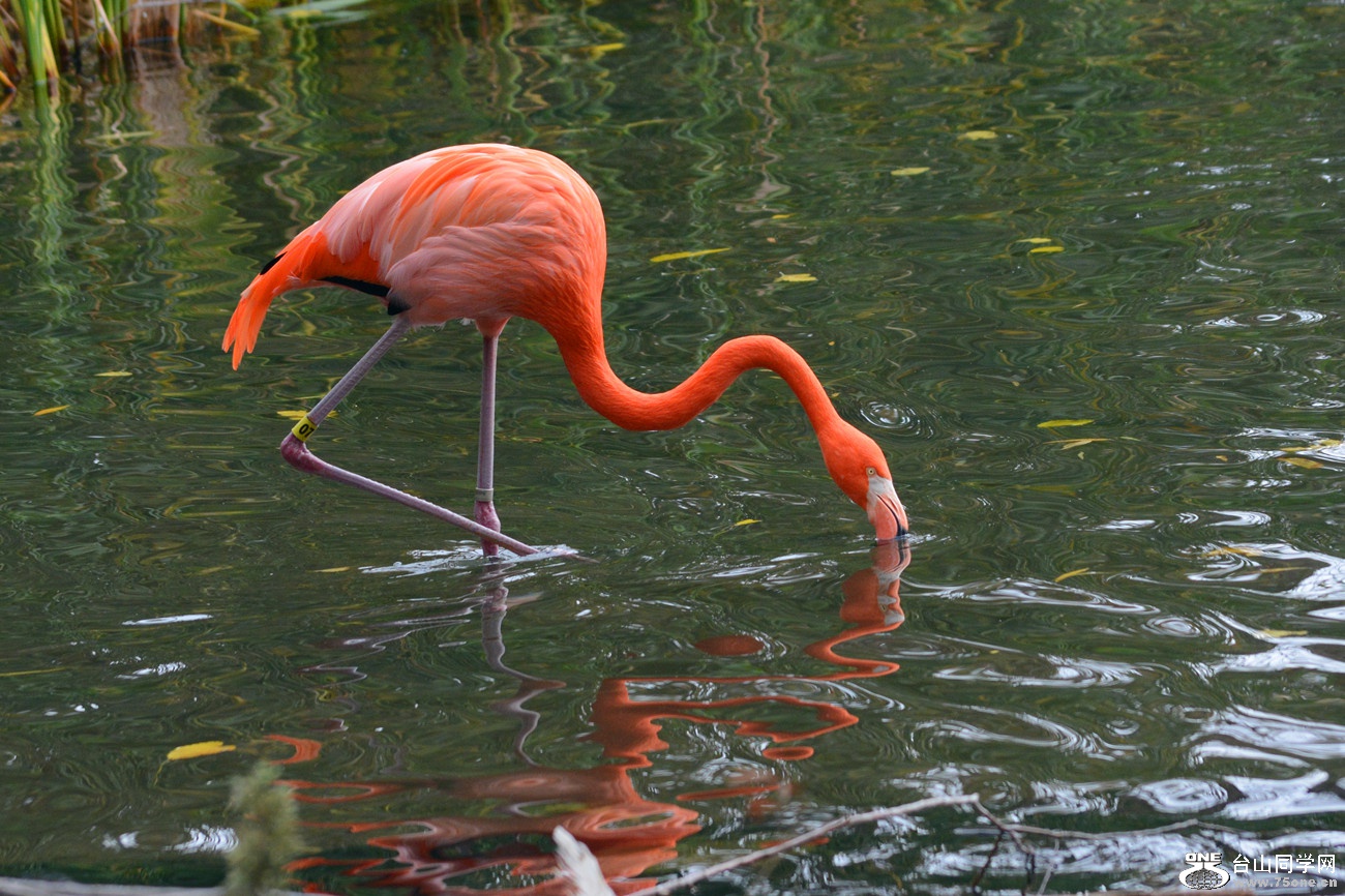 DSC_1168_05.jpg