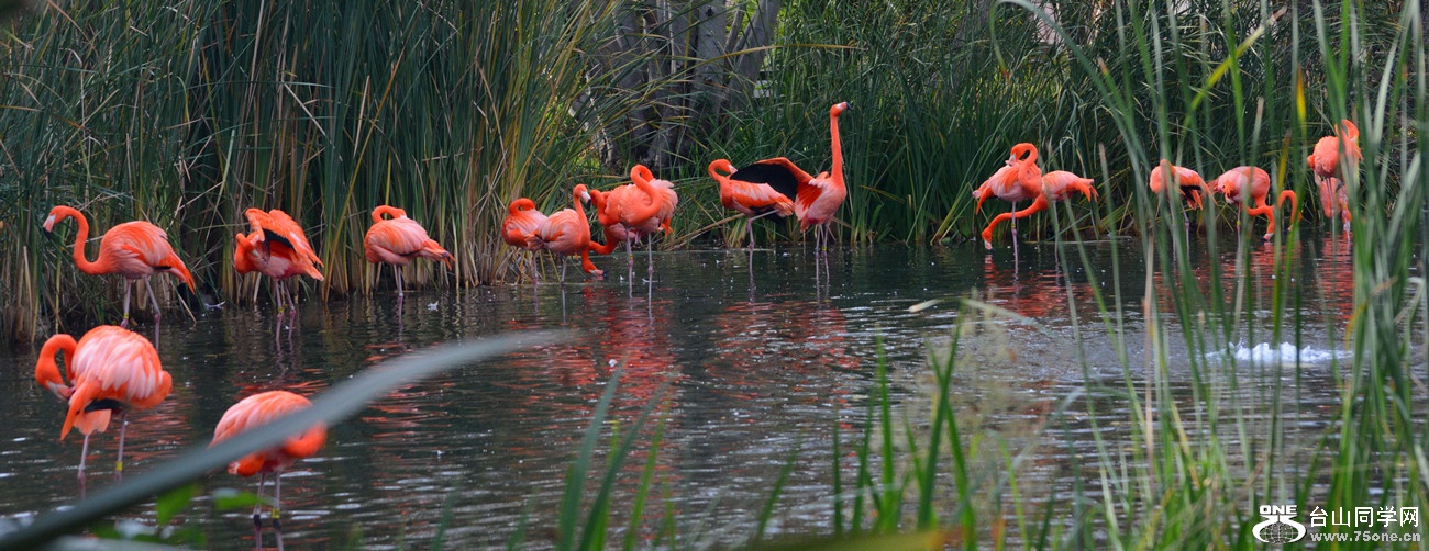 DSC_2210_19.jpg