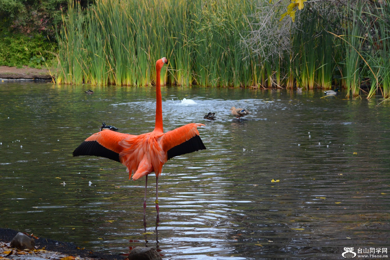 DSC_1368_112.jpg
