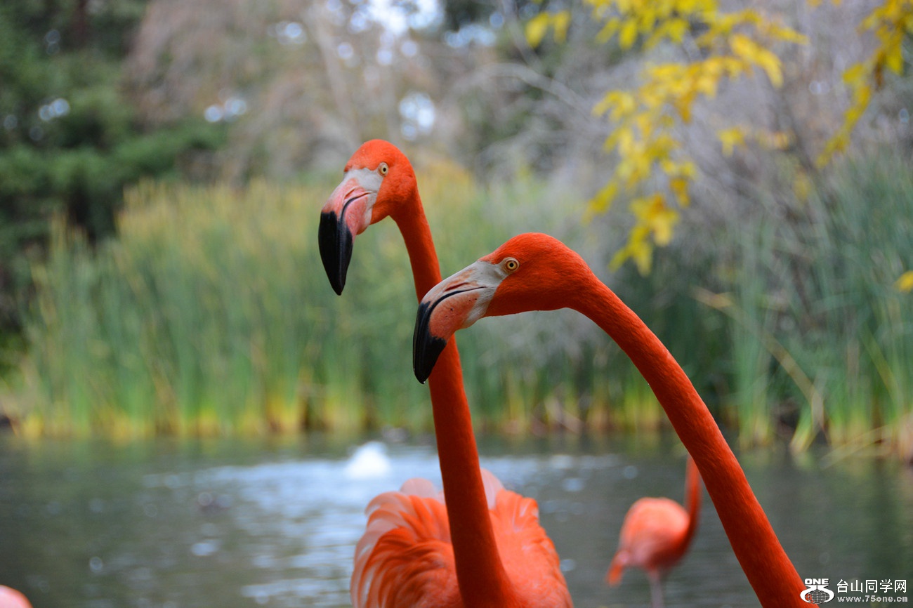 DSC_1401_133.jpg