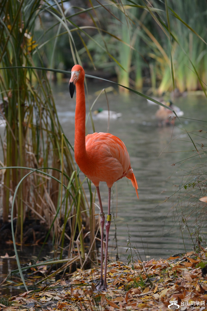DSC_1350_000.jpg