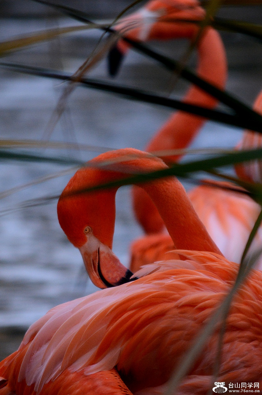 DSC_2035_48.jpg