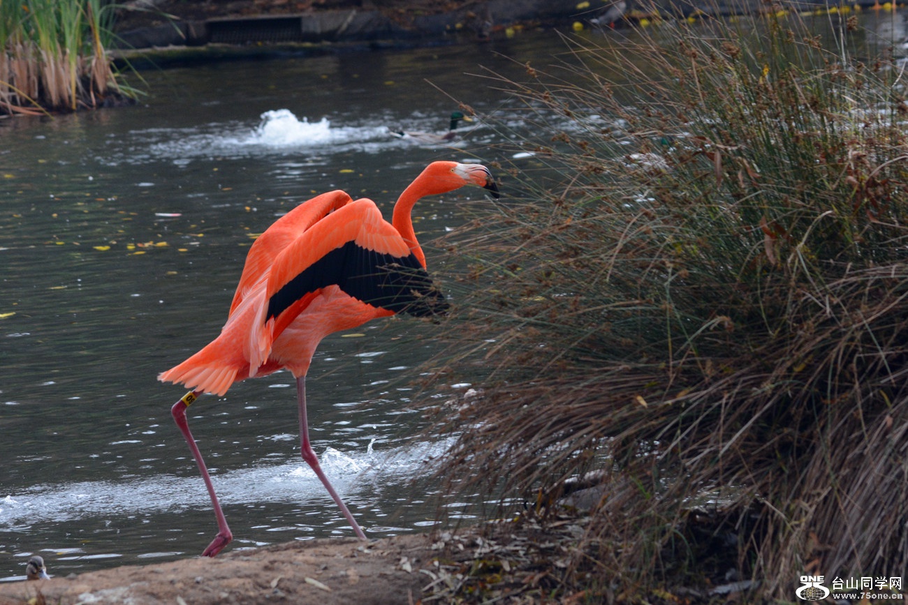DSC_1226_004.jpg