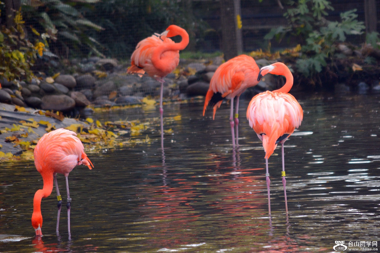 DSC_2179_28.jpg