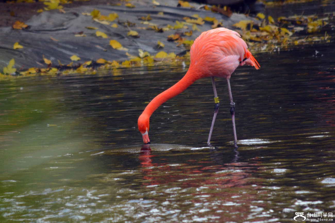 DSC_2187_27.jpg