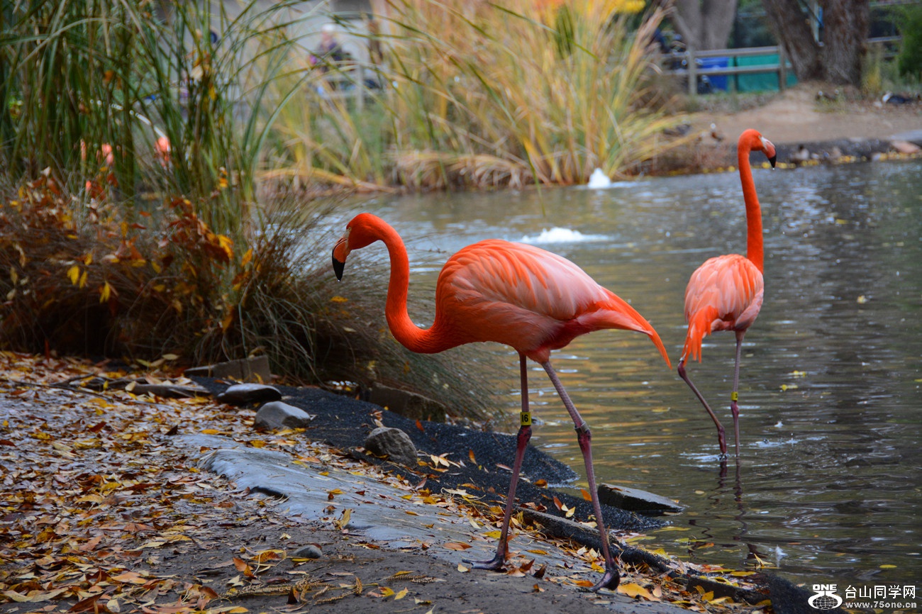 DSC_1465_67.jpg