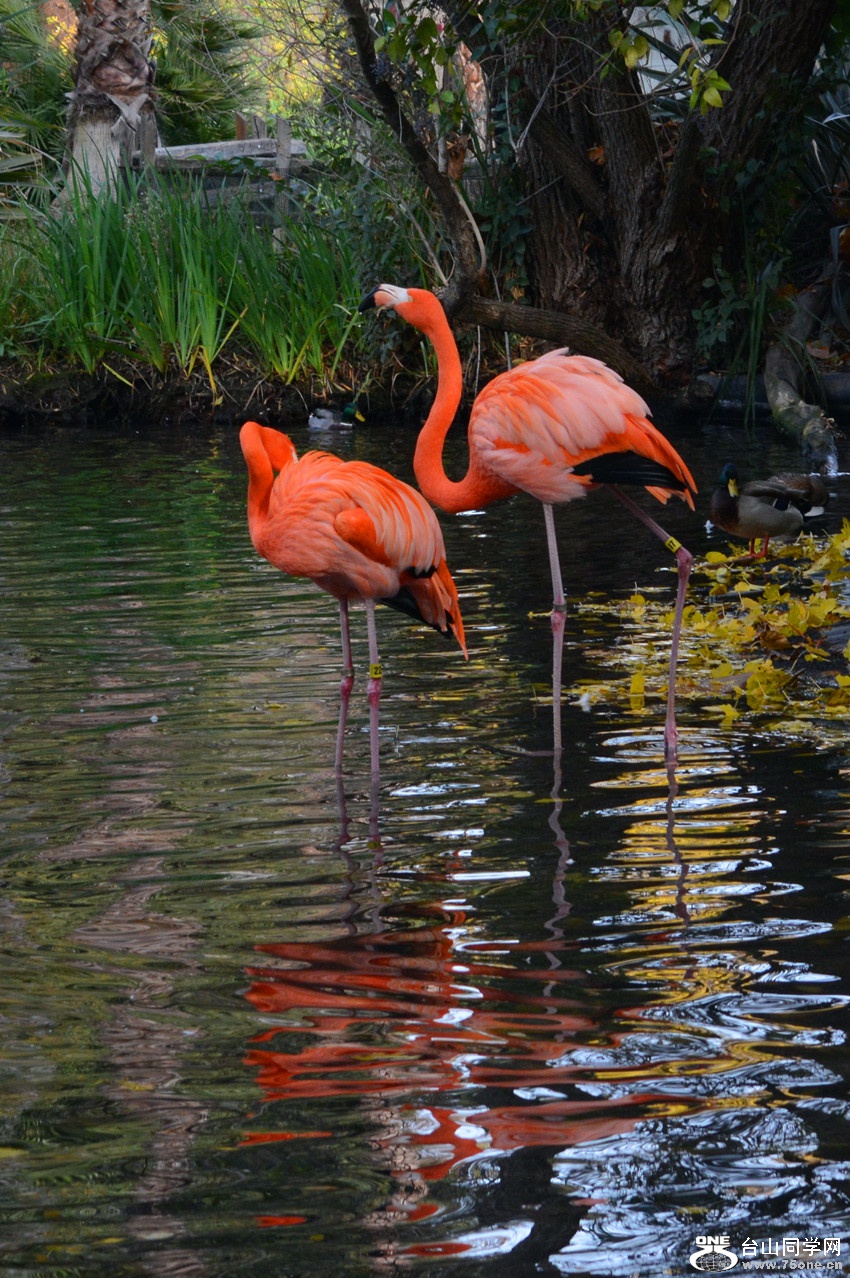 DSC_1982_59.jpg