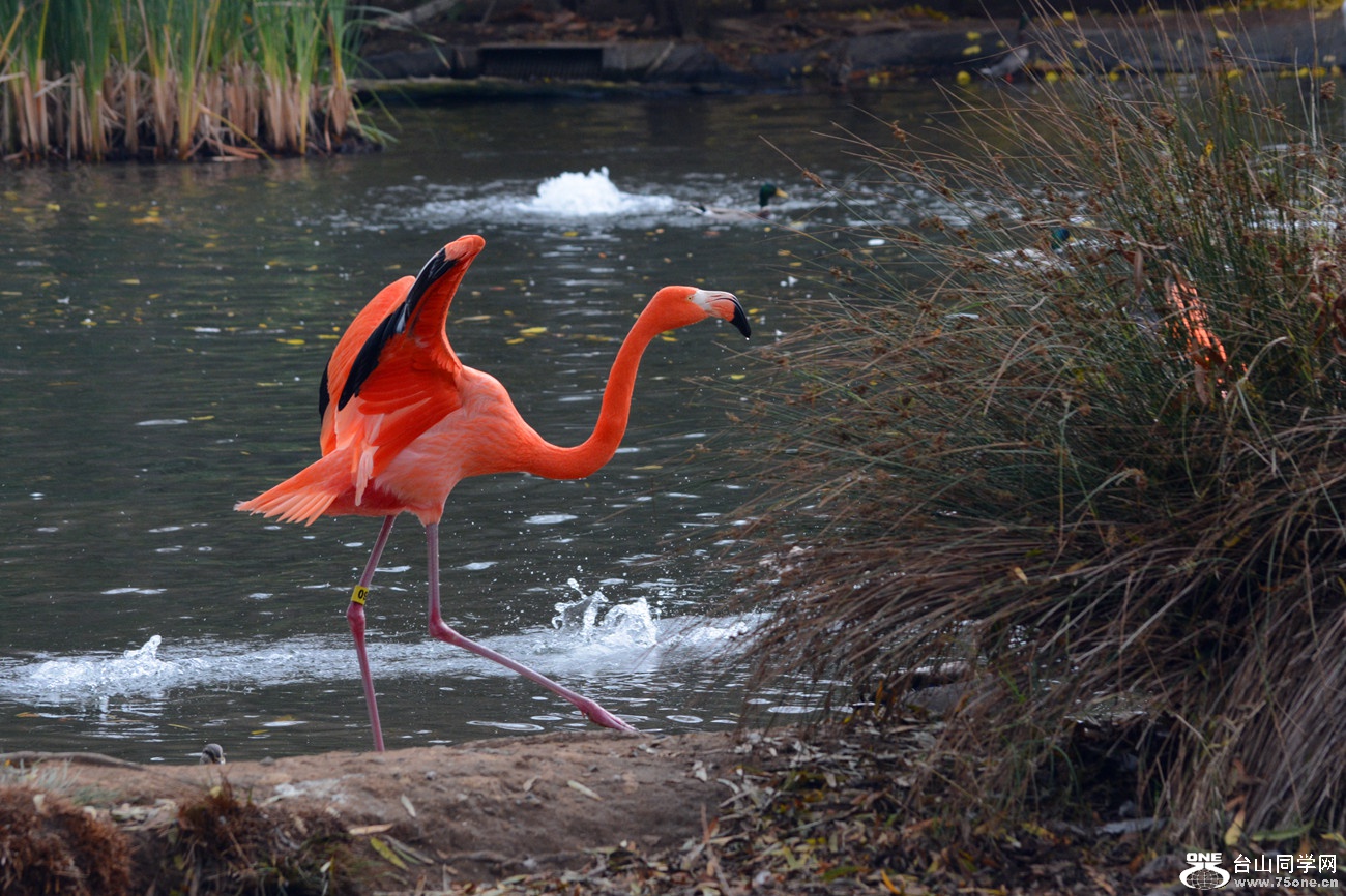 DSC_1225_003.jpg