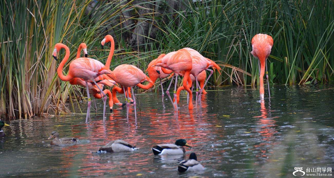 DSC_1007_02.jpg