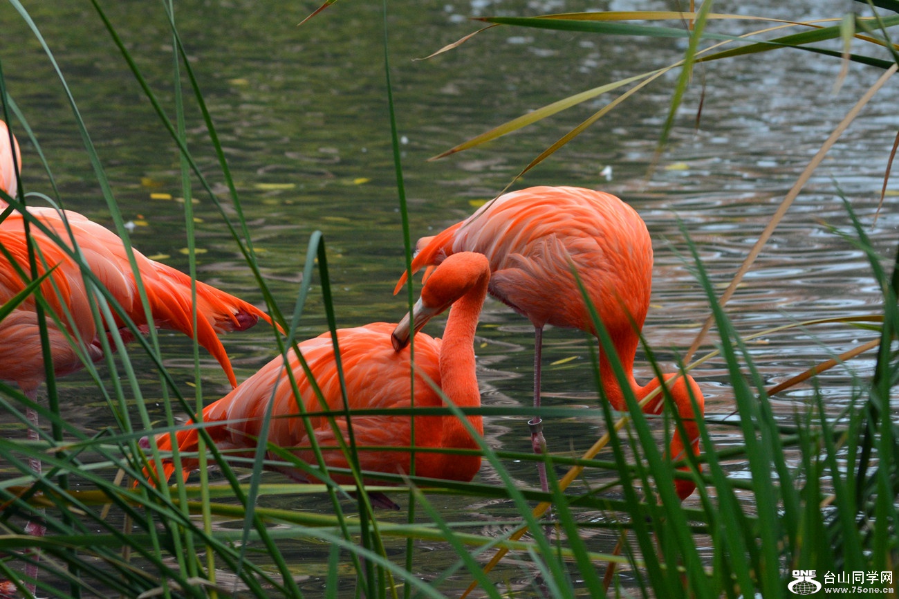 DSC_1340_009.jpg