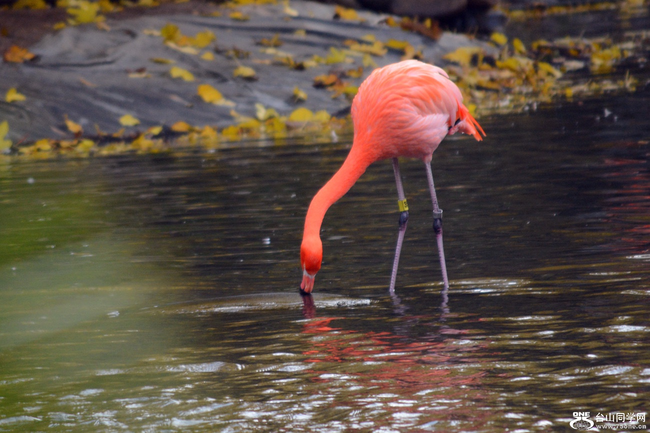 DSC_2189_26.jpg
