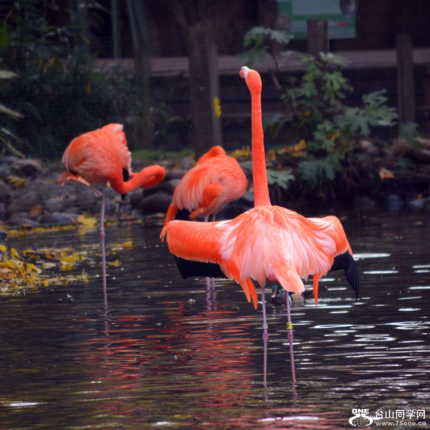 DSC_2190_25.jpg