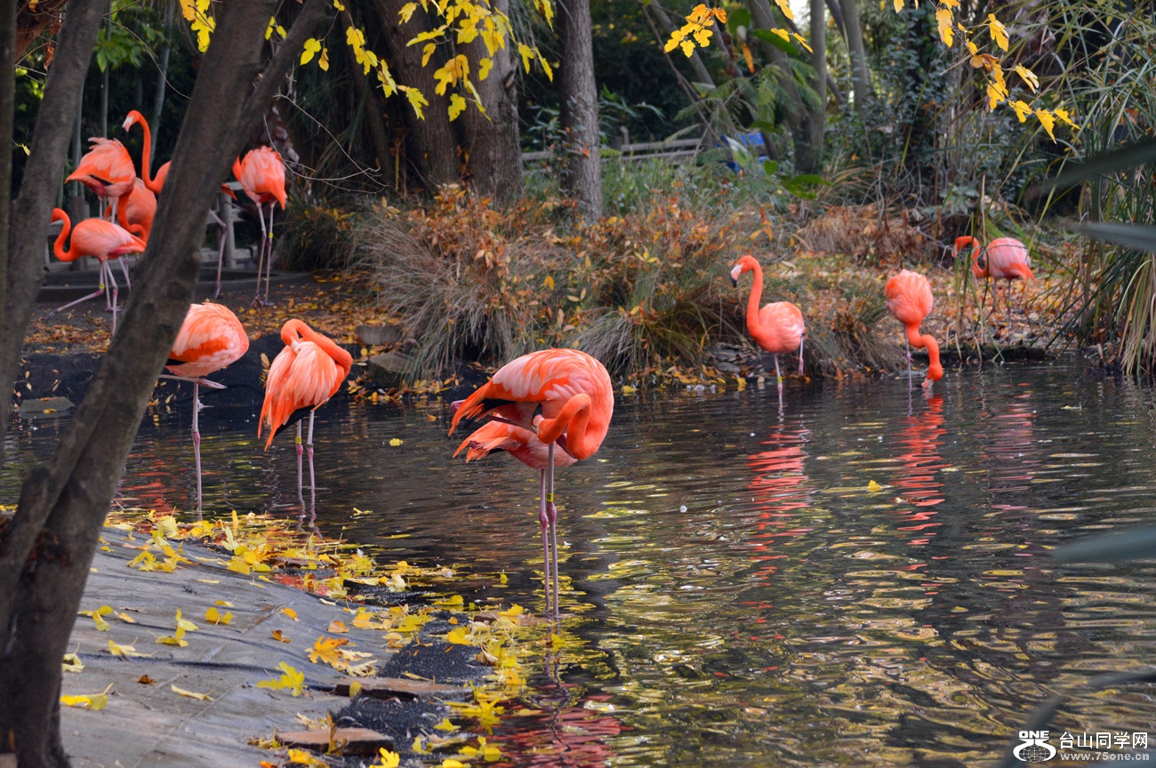 DSC_2234_6.jpg