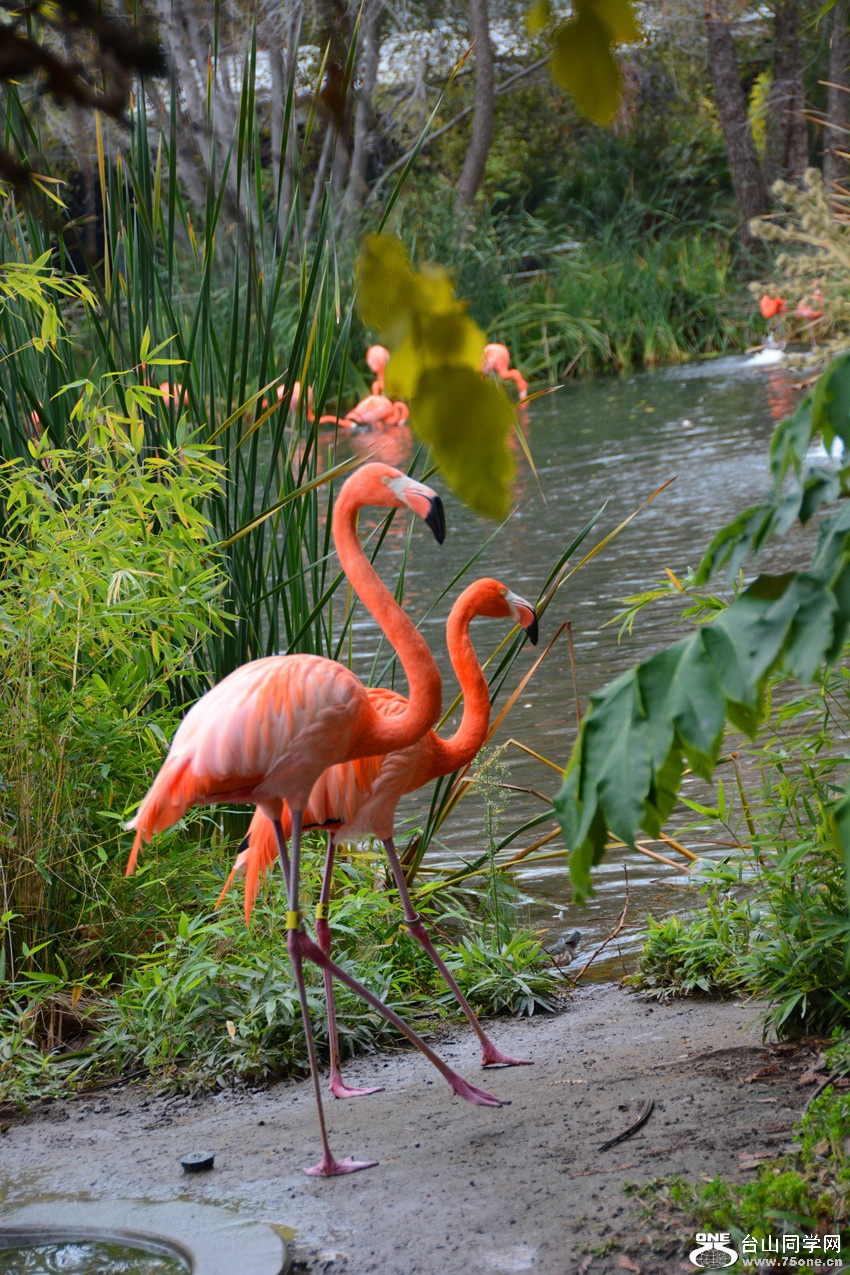 DSC_1040_04.jpg