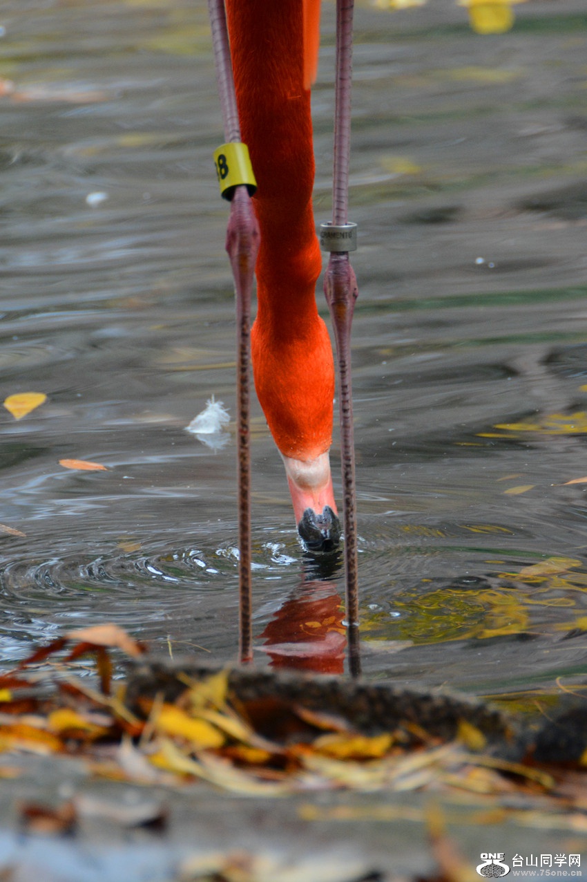 DSC_1440_143.jpg