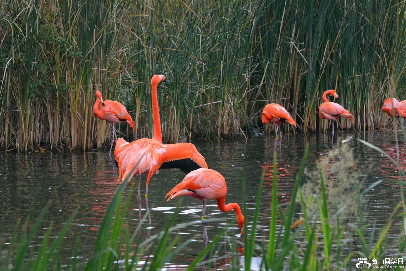 DSC_2218_16.jpg