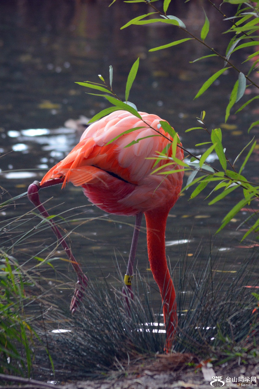 DSC_1238_006.jpg