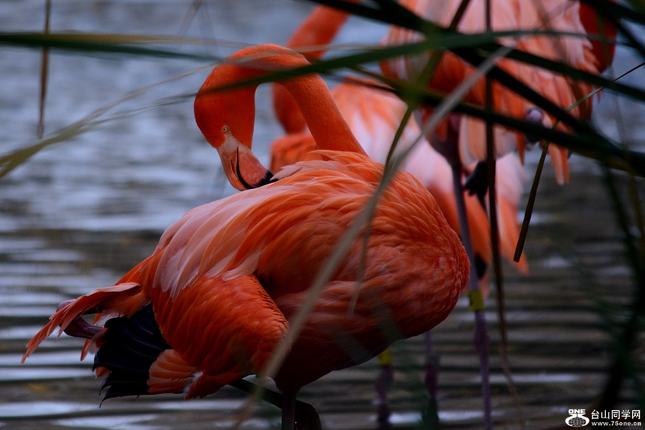 DSC_2035_47.jpg